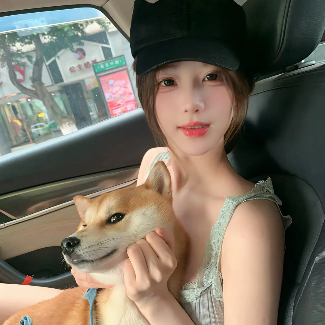 新手
